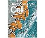 Strong cell-cell junctions preserve the quiescent properties of stem cells