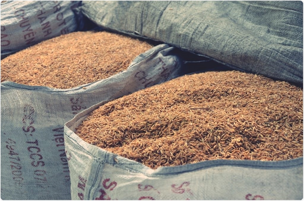 Combined treatment can effectively destroy insects in stored grains