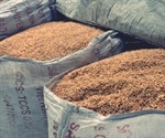 Combined treatment can effectively destroy insects in stored grains