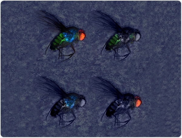 New gene-drive technologies can help control crop pests
