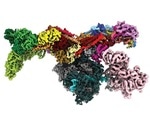 Cryogenic electron microscopy helps visualize 3D structure of complex responsible for gene regulation