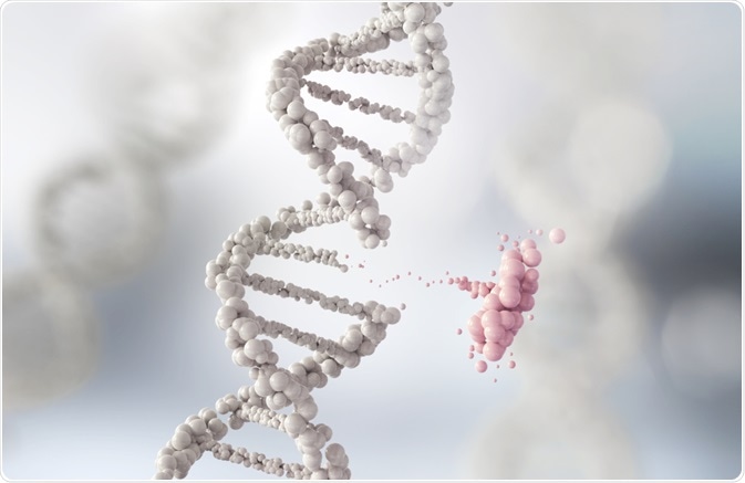 Genetic Engineering Genetic Engineering