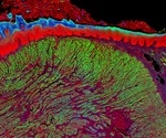 Fluorescence Microscopy: An Overview