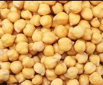 Chickpea genetics reduce need for chemicals