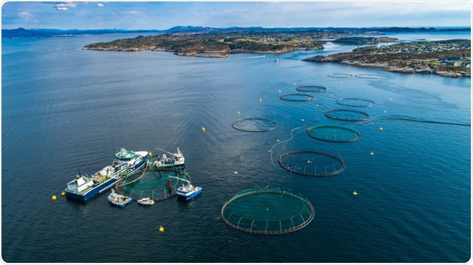 Fish Farm Fish Farm