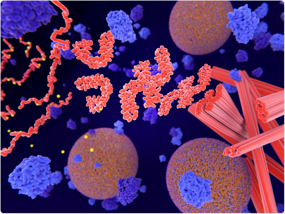 Tau Protein Tau Protein