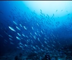 The Application of Computational Modeling in Contemporary Fisheries