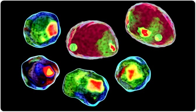 Flow Cytometry Flow Cytometry