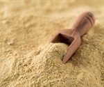 High-resolution map of yeast genome can shed light on development responses in higher organisms