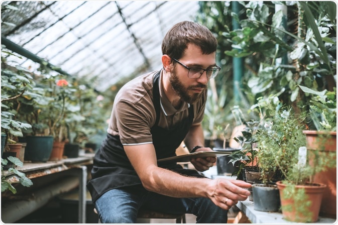 Plant Domestication Plant Domestication