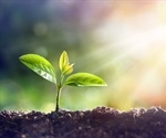 Role of Raman Microscopy in Plant Research