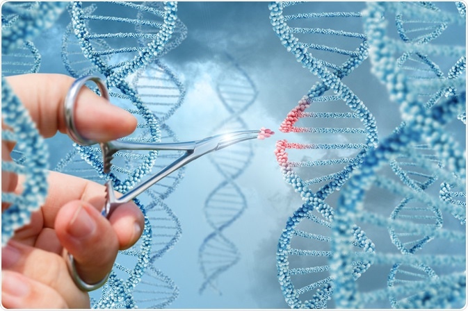 Gene Editing Gene Editing