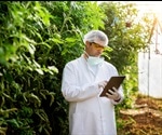 Detective work inside plant cells finds a key piece of the C4 photosynthesis puzzle