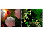 New AI model predicts targets for previously unmapped T cells against coronavirus
