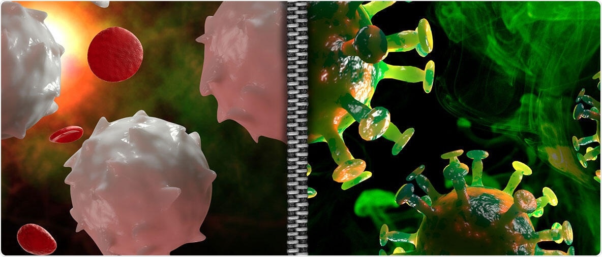 New AI model predicts targets for previously unmapped T cells against coronavirus