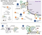 Therapy using artificial metalloenzymes helps reduce tumor growth, finds study