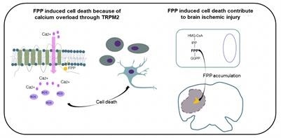 Critical intermediate in normal cellular metabolism may lead to cell death