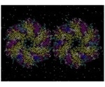 New synthetic biology study allows bio-manufacturing advancements for medicine and engineering