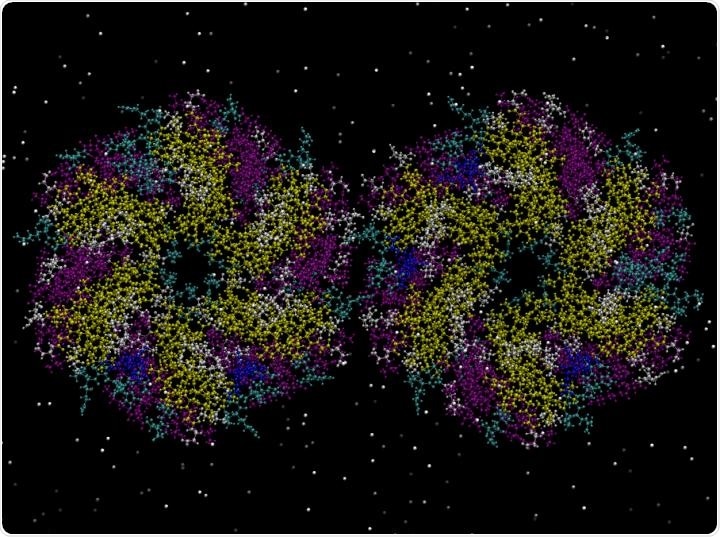 New synthetic biology study allows bio-manufacturing advancements for medicine and engineering