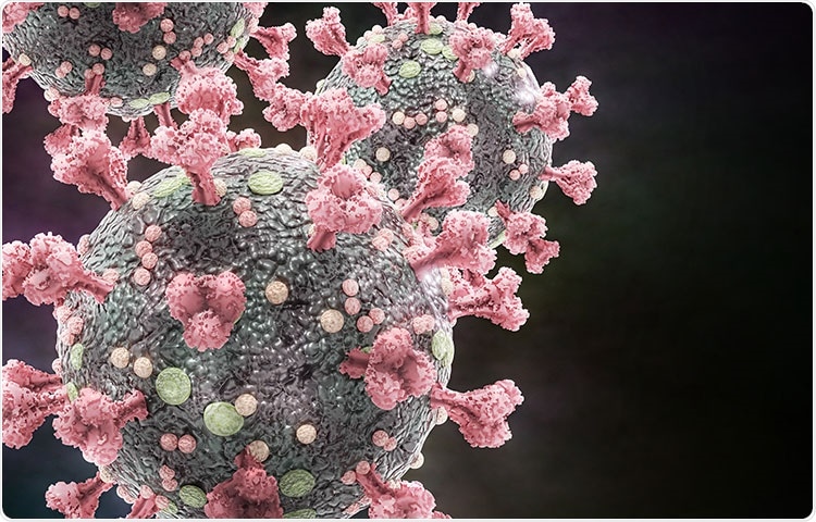 Study: Interferon-stimulating genes control SARS-CoV-2 replication