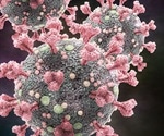 Interferon-stimulating genes control SARS-CoV-2 replication