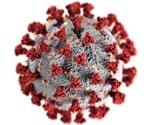 Study identifies mechanism that enables SARS viruses to efficiently replicate in infected cells