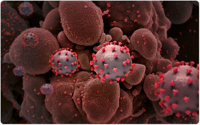 Low K777 concentrations inhibit cathepsin L and reduce SARS-CoV-2’s ability to infect host cell lines