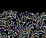 New tool enables non-experts to interpret microscopy images using AI
