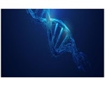 Novel test detects HIV reservoir in patients more accurately