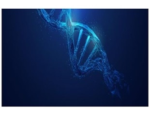 Novel test detects HIV reservoir in patients more accurately