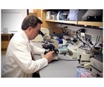 New, altered form of prolactin receptor found to drive breast cancer