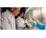 Low-dose administration of MERS DNA vaccine protects against COVID-19