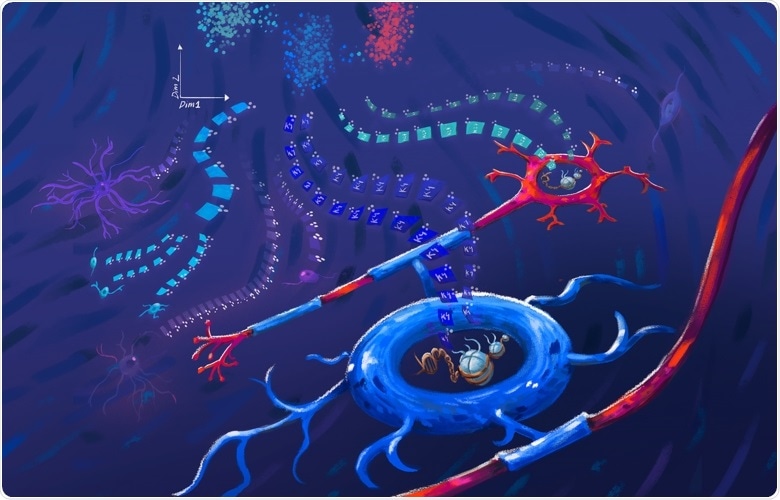 New method helps map the epigenetics of mouse brain