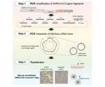 New simpler, faster system for analyzing mutations in SARS-CoV-2