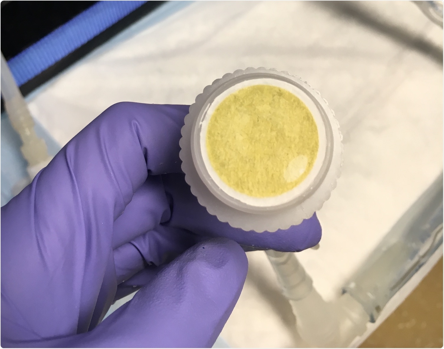 Researchers use information embedded in microbial genes as a biosensor of ocean health, productivity