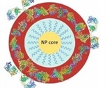 Highly Accurate Physicochemical Characterisation of Small Nanoparticles
