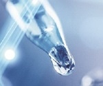 High Recovery of Top-Quality Purified RNA