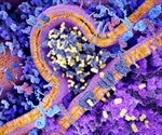 What are Chimeric Antibodies?