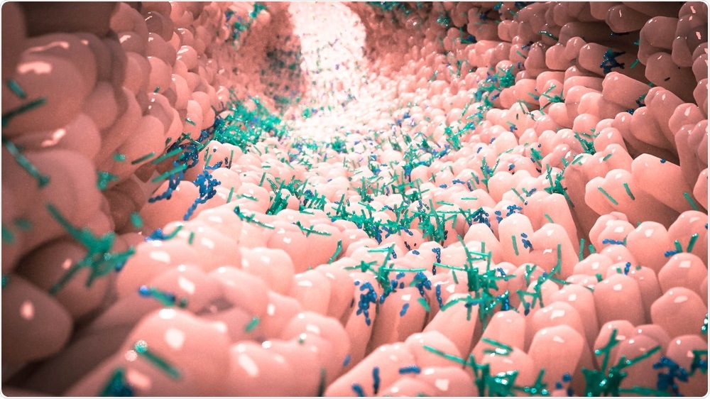 Gut Microbiome Gut Microbiome