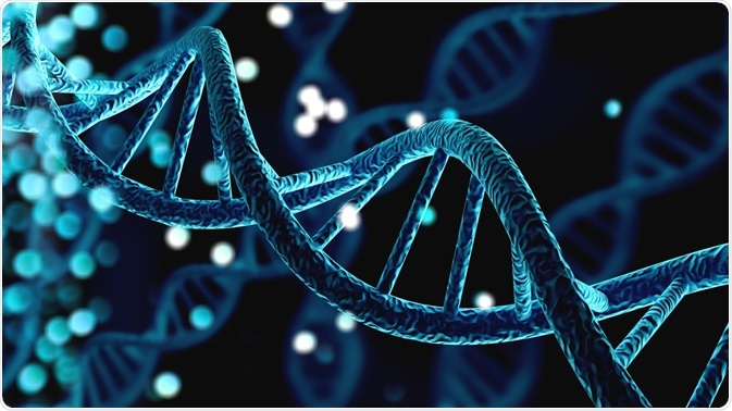 DNA DNA