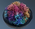 DNAJC9 protein plays a key role in protecting histones in the cell nucleus