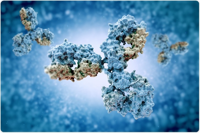 Antibodies Antibodies