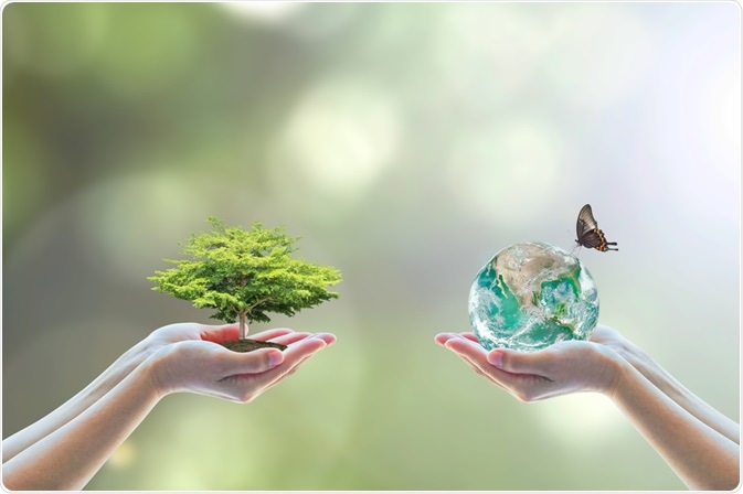 Biodiversity Biodiversity