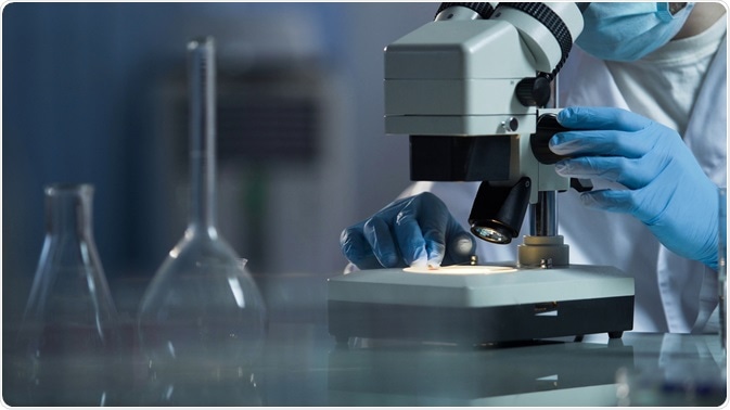 Cell Biology/Toxicology Cell Biology/Toxicology