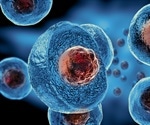 Study shows how stem cells make specific types of cells