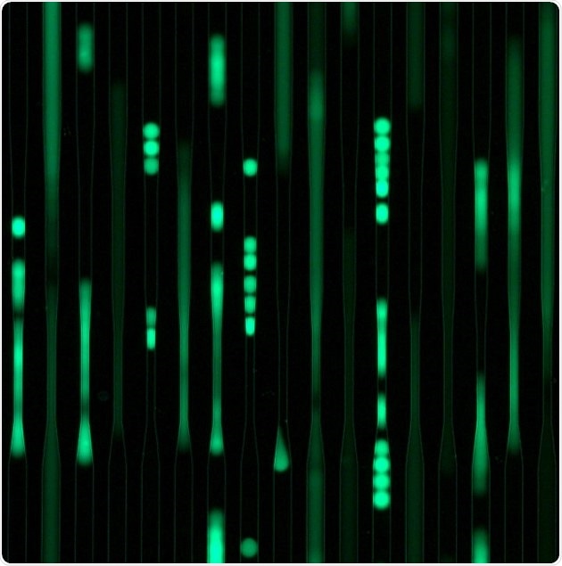 New, patented method helps drugs to easily enter the cells