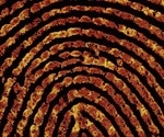 Single fingerprint can help determine whether someone has touched or ingested class A drugs