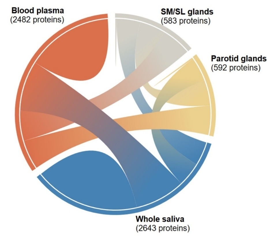 New wiki promotes development of innovative saliva-based diagnostic tests and customized treatment