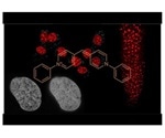Researchers develop an unprecedentedly flexible new DNA staining probe