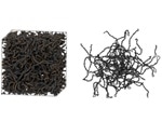 “Topologically tunable” DNA-based material has potential applications in drug delivery, tissue regeneration